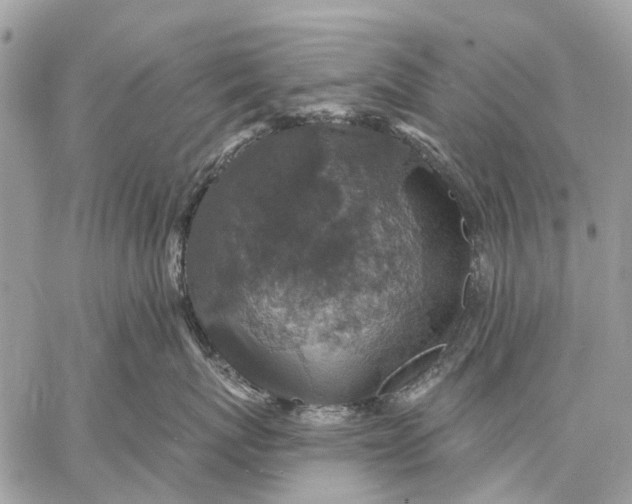 X0000058780767200510211748