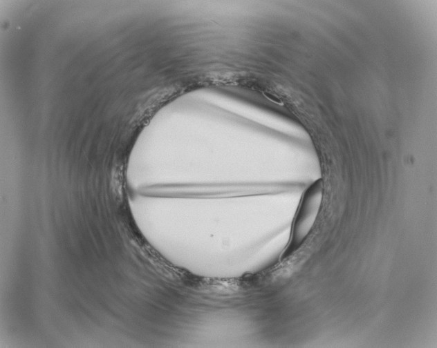 X0000058780768200510211748