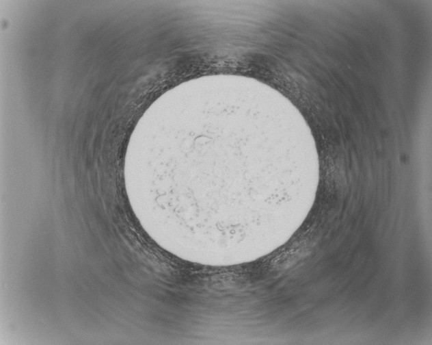 X0000058780769200510211747