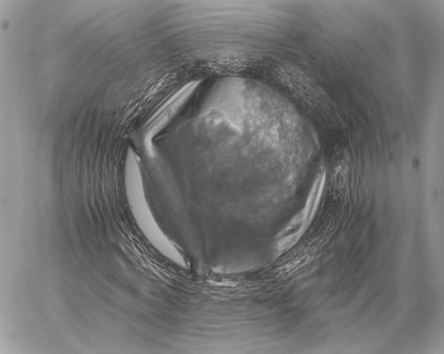 X0000058780772200510211747