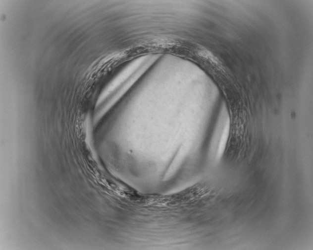 X0000058780773200510211747