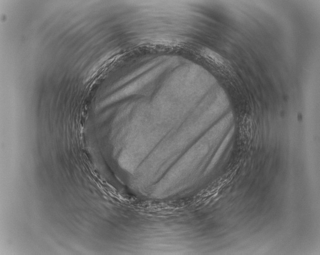 X0000058780774200510211747