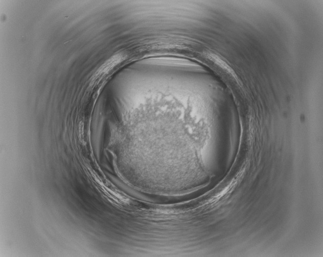 X0000058780777200510211747