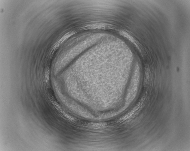 X0000058780778200510211747