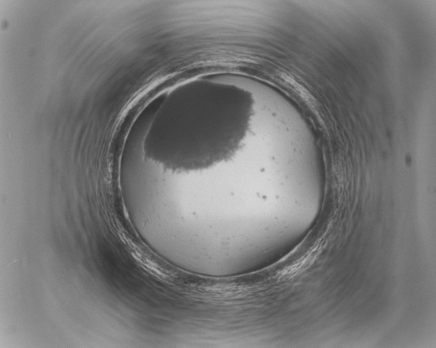 X0000058780779200510211747