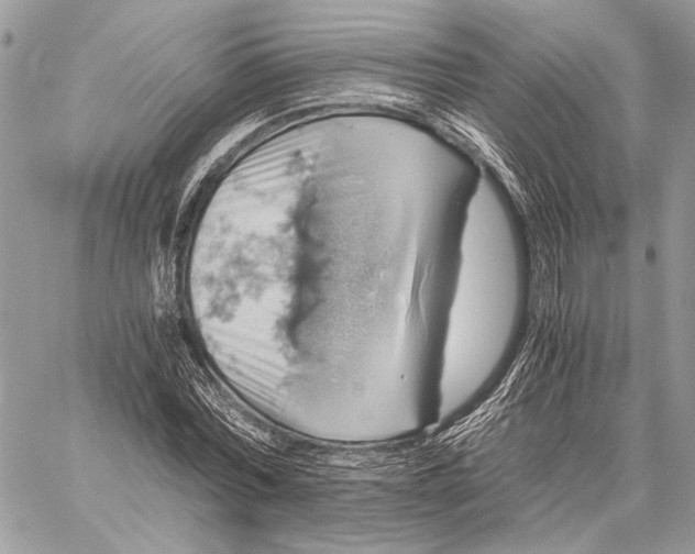 X0000058780780200510211747