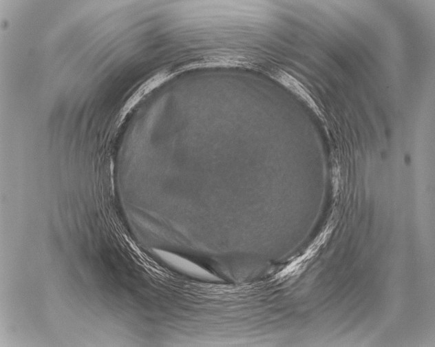 X0000058780781200510211747