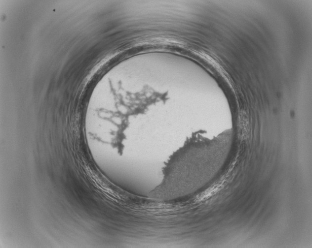 X0000058780783200510211747