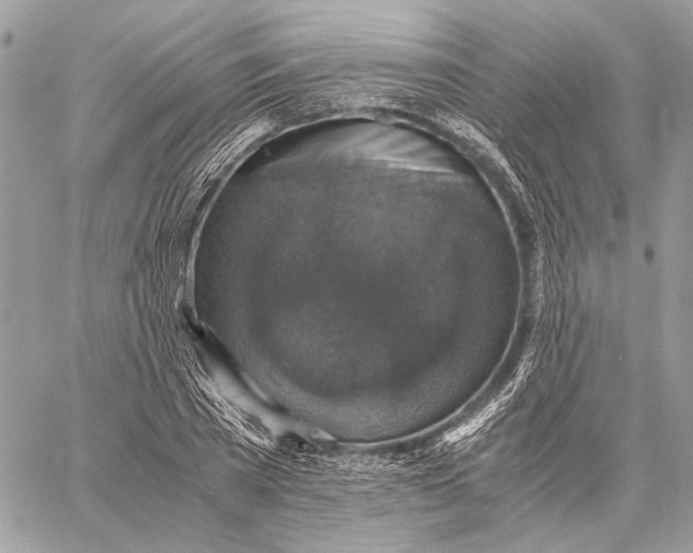 X0000058780785200510211747