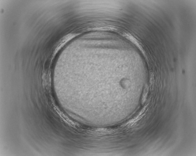 X0000058780787200510211747