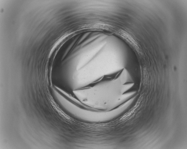 X0000058780788200510211747