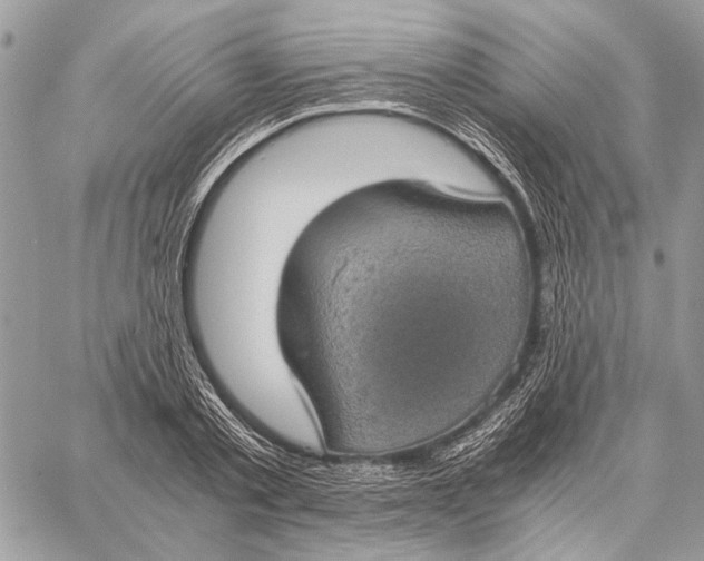 X0000058780789200510211747