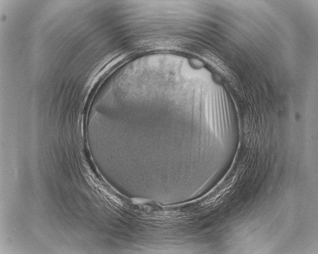 X0000058780790200510211747