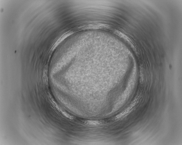 X0000058780794200510211747