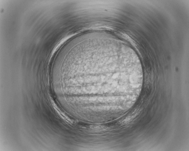 X0000058780795200510211747