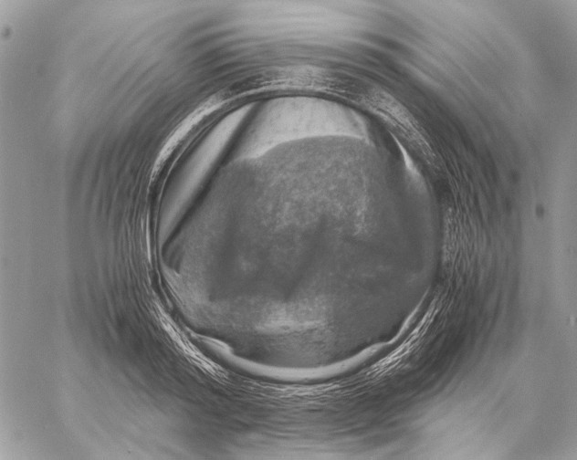 X0000058780796200510211747