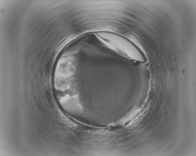 X0000058780797200510211747