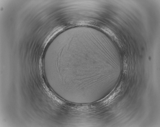 X0000058780798200510211747