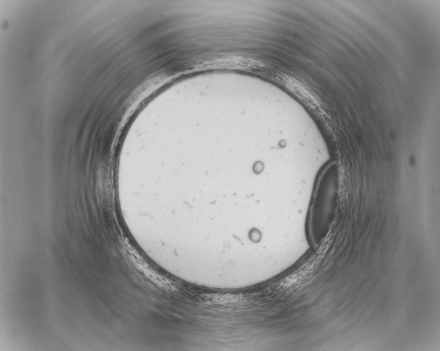 X0000058780800200510211747