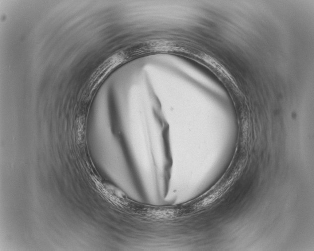 X0000058780801200510211746