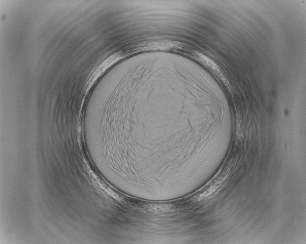 X0000058780802200510211746