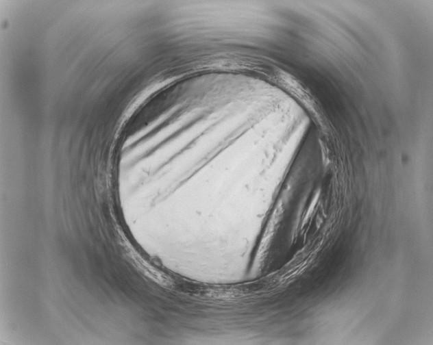 X0000058780803200510211746