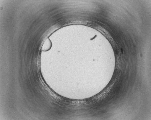 X0000058780804200510211746