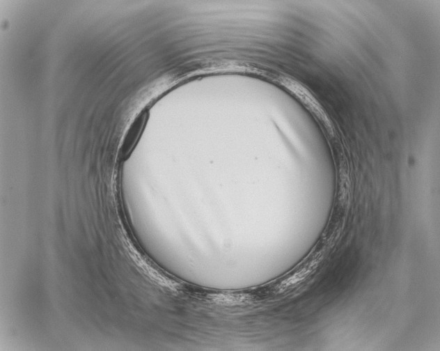 X0000058780805200510211746