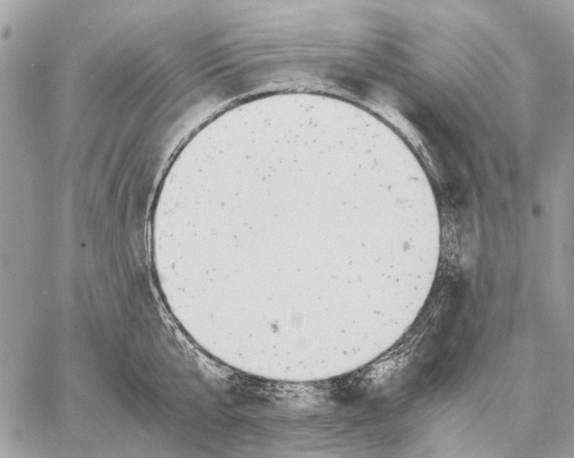 X0000058780807200510211746