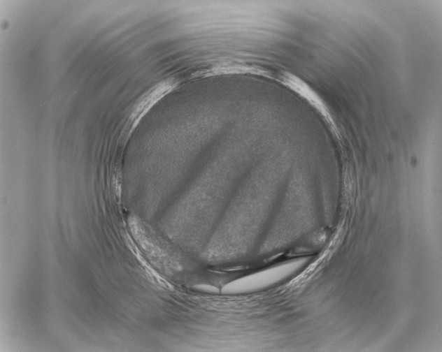 X0000058780809200510211746