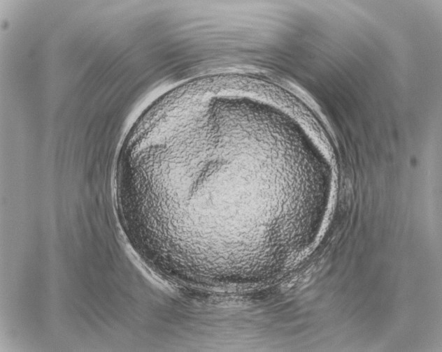 X0000058780811200510211746