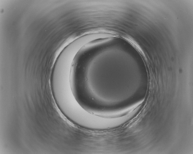 X0000058780813200510211746