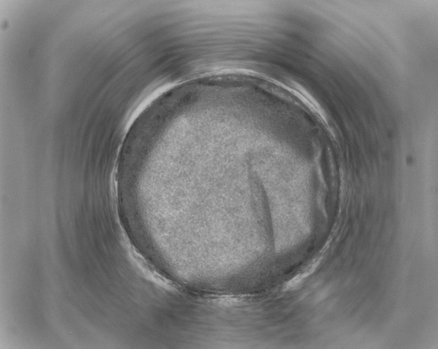 X0000058780814200510211746