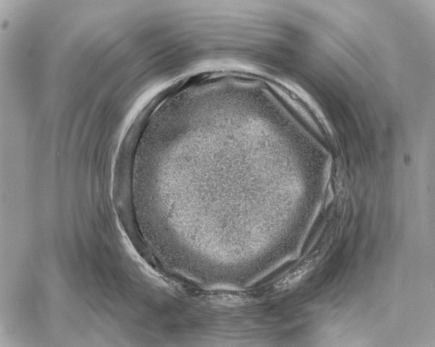 X0000058780815200510211746