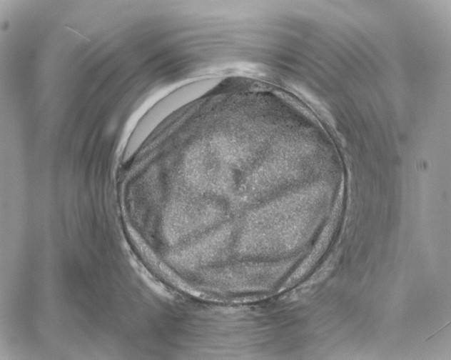 X0000058780816200510211746