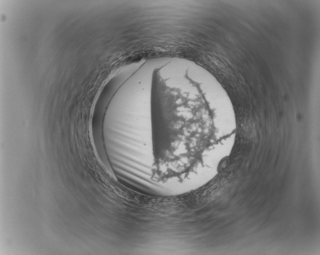 X0000058780817200510211745