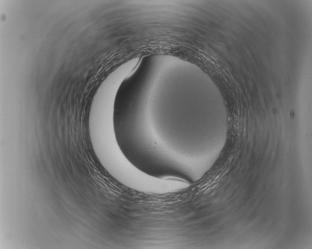 X0000058780818200510211745