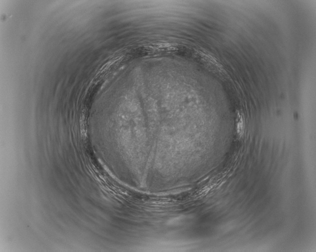 X0000058780819200510211746