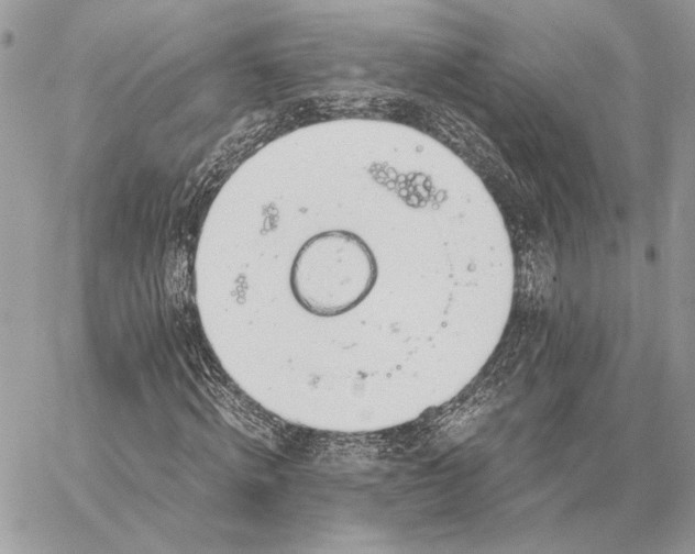 X0000058780820200510211746