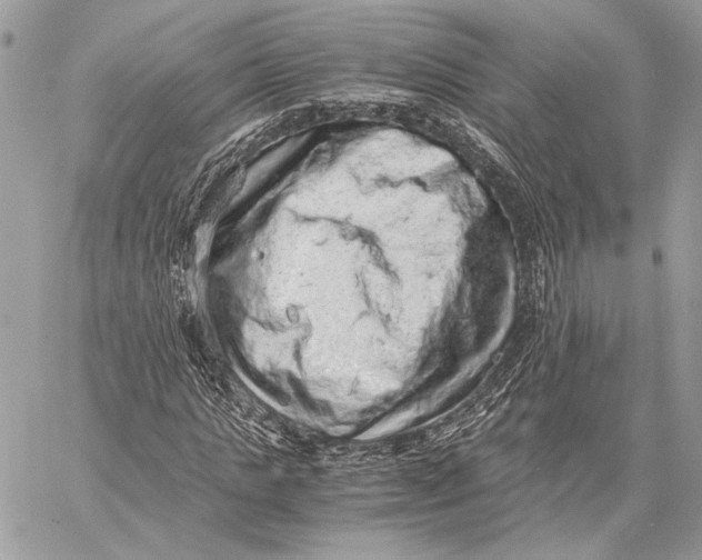 X0000058780821200510211746