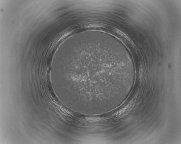 X0000058780825200510211746