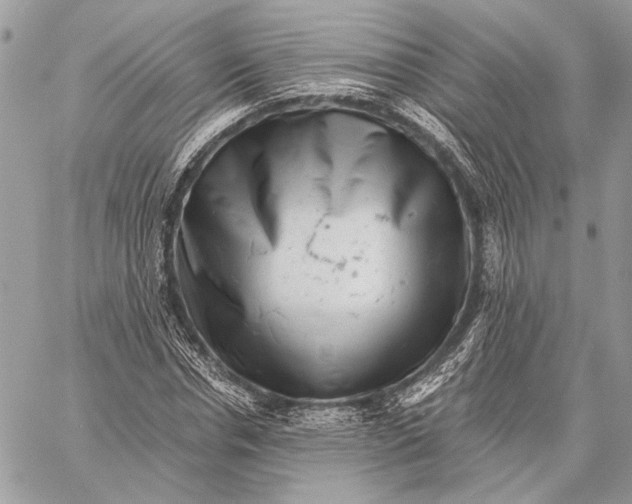 X0000058780826200510211746