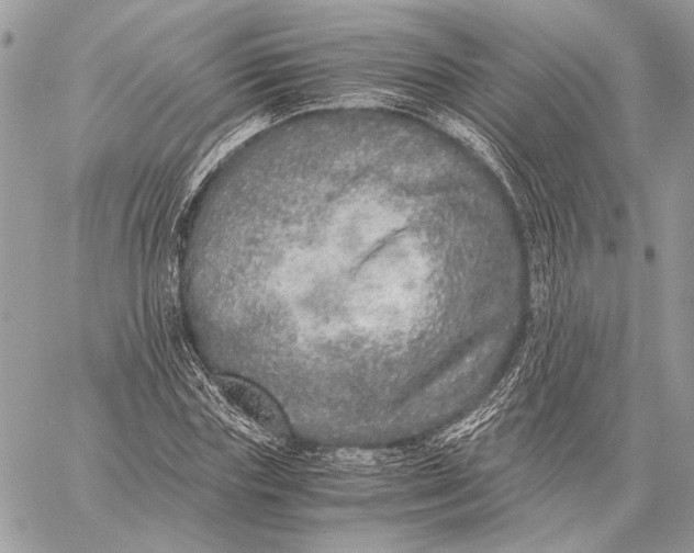 X0000058780827200510211746