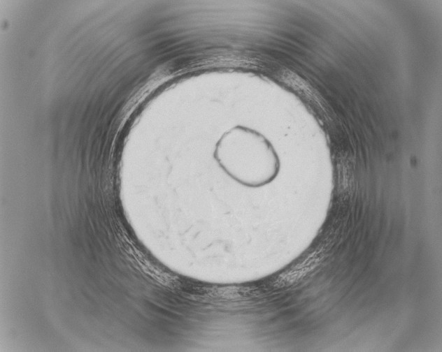 X0000058780828200510211746