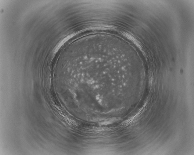 X0000058780829200510211746