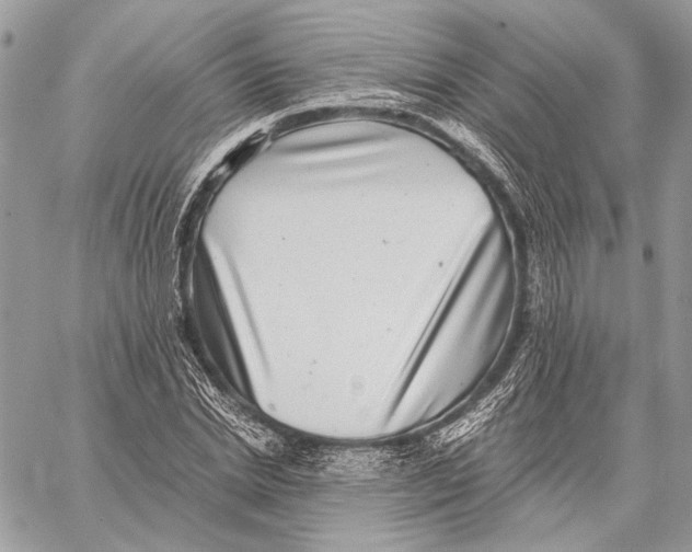 X0000058780830200510211746