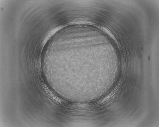 X0000058780831200510211746