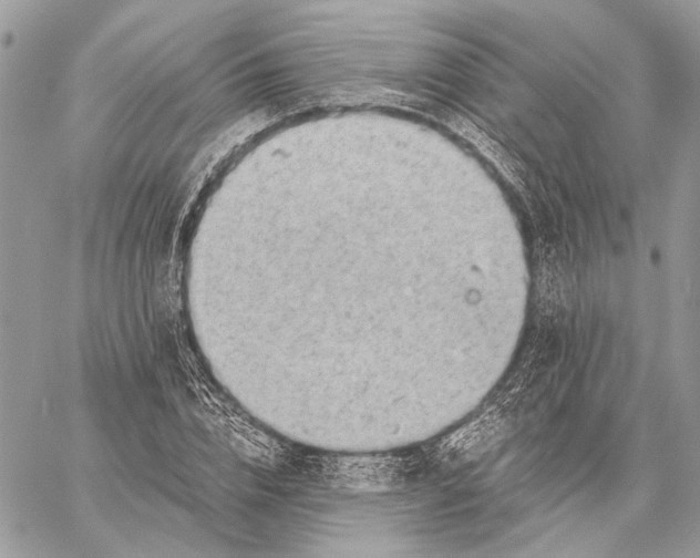 X0000058780832200510211746