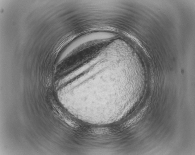 X0000058780833200510211746