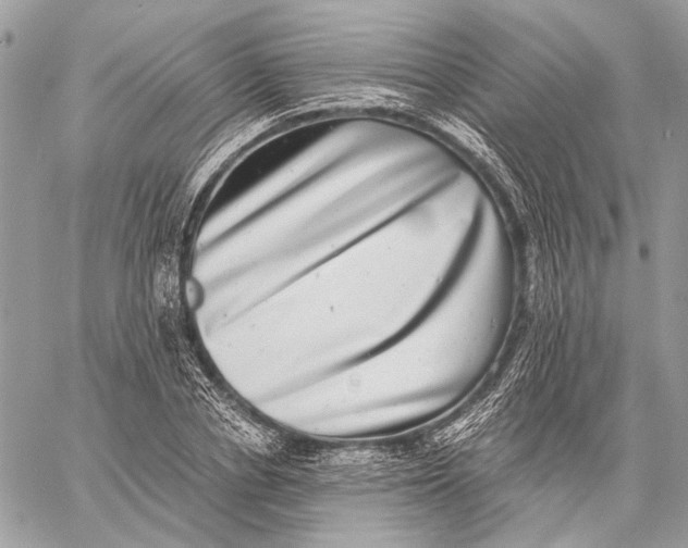 X0000058780834200510211746